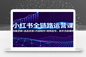 小红书全链路运营课:流量逻辑+选品货源+内容制作+矩阵起号,新手也能赚钱