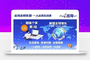 出海去孵化器,一人出海实战课,超级个体第1站,解锁全球增长