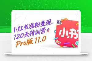 小红书涨粉变现120天特训营Pro版11.0:从0到1掌握平台运营,内容制作和变现