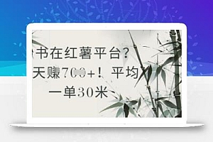 抄书在小红薯平台?平均一单30米,一天收益几张!