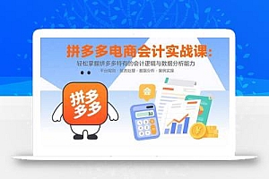 拼多多电商会计实战课:轻松掌握拼多多特有的会计逻辑与数据分析能力