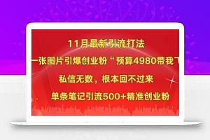 小红书11月最新图片打粉,一张图片引爆创业粉,“预算4980带我飞”,单条引流500+精准创业粉