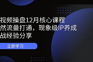 短视频操盘12月核心课程:自然流量打通,现象级IP养成,实战经验分享