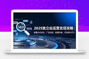 2025独立站运营变现攻略:掌握SEO优化、广告投放、数据诊断,月业绩50万+