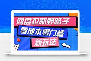 一个人也能操作的网盘拉新野路子玩法,零成本零门槛多种变现方式,轻松月入万元