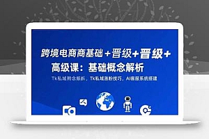 跨境电商基础+晋级+高级课:基础概念解析,Tk私域涨粉技巧,AI客服系统搭建