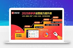 2025拼多多运营能力提升课:认知→基础→推广→活动→玩法,五阶成长路径