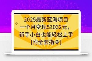 2025最新蓝海项目一个月变现1w+新手小白也能轻松上手【附全套指令】