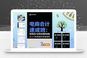 电商会计速成班,电商会计全程处理的技能