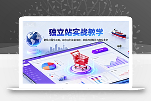 独立站实战教学,跨境经营全攻略,助您告别流量依赖,掌握跨境经营的终极奥