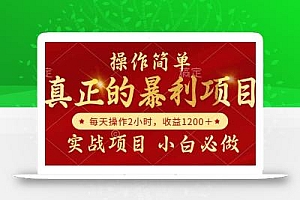 真正的暴利项目,操作简单,每天收益1200+,自己做老板