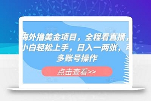海外撸美金项目,全程看直播,小白轻松上手,日入一两张,可多账号操作【揭秘】