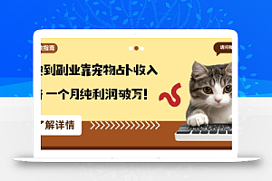 从兴趣到副业靠宠物占卜收入翻3倍一个月纯利润破W