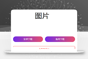 2024首发最火的软件宣传单页源码