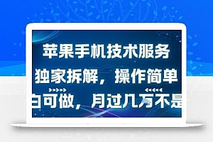 苹果手机技术服务,独家拆解,操作简单,小白可做,月过1W不是梦
