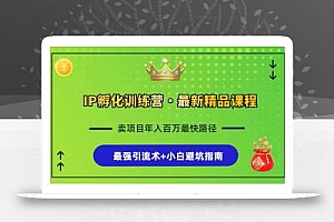 IP孵化训练营,知识付费全流程+最强引流术+小白避坑指南