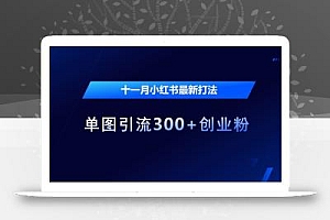 十一月小红书最新打法,单图引流300+创业粉【揭秘】