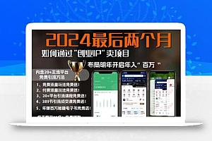 2024最后两个月如何通过”创业IP“卖项目年入”百万“,创业IP+最强引流…