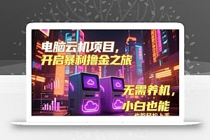 电脑云机项目 暴力撸金玩法,不需要养机 配置没有要求 单机100个窗口一…