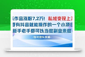 抖音私域项目23条作品涨粉7.2W,私域变现1W