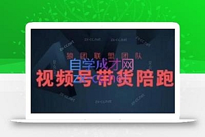 狼团联盟·2024视频号带货