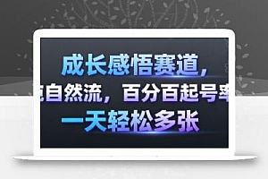 成长感悟赛道,纯自然流,百分百起号率 一天轻松多张