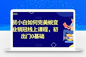 外贸小白如何完美蜕变行业销冠线上课程,初出门0基础
