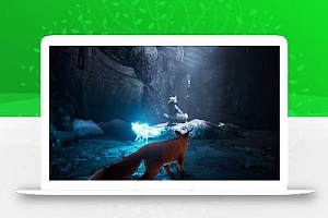 《极北灵狐 Spirit of the North》Switch中文版NSP下载 – 含1.3.1补丁