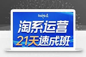 白凤电商·淘系运营21天速成班(更新7月)