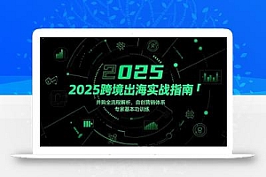 2025跨境出海实战指南,并购全流程解析,自创营销体系,专家基本功训练