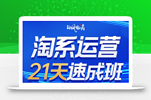 白凤电商·淘系运营21天速成班(更新9月)