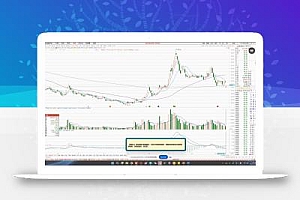 大师兄·鹿鼎山系列内部课程(更新2025年1月)