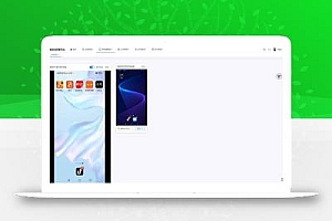 云手机群控系统源码 自动化管理系统 附视频教程
