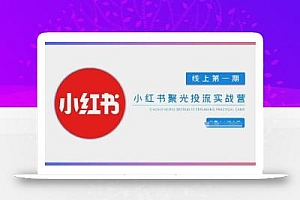小红书聚光陪跑第一期,教你从0到1玩转小红书聚光投流,搭建小红书付费投流团队,更快的见到效果