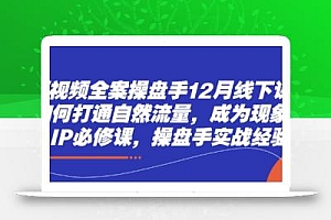 短视频全案操盘手12月线下课,如何打通自然流量,成为现象级IP必修课,操盘手实战经验