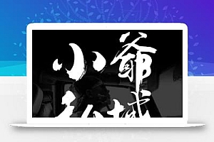 小爷·私域项目操盘手
