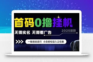 首码0撸挂G项目,无需实名无需看广告 一键启动运行,小白轻松日入三位数【揭秘】