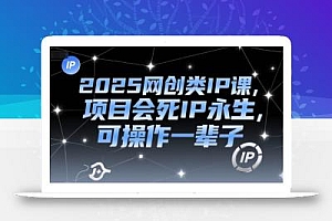 2025网创类IP课,项目会死IP永生,可操作一辈子