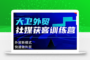 大卫老师·外贸社媒获客独家训练营(更新10月)