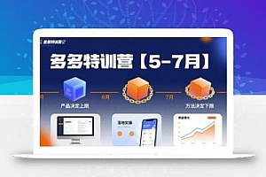 多多特训营,产品决定上限,方法决定下限,各种玩法技巧落地实操(更新)