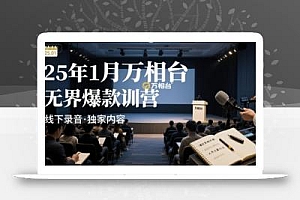 25年1月万相台无界爆款特训营线下录音