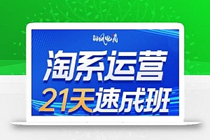 白凤电商·淘系运营21天速成班(更新8月)