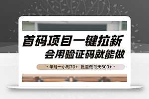 首码项目一键拉新,会用验证码就能做 单号一小时70+,批量做每天500+