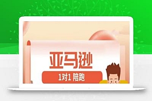 亚马逊1对1陪跑课(FBA/FBM精铺)跨境亚马逊教程