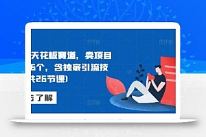 网创天花板赛道,卖项目月入6个,含独家引流技术(共26节课)
