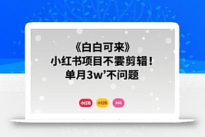 小白可来 小红书项目不需要剪辑 单月3w不是问题