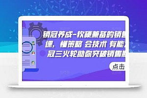 销冠养成-软硬兼备的销售技能课,懂策略 会技术 有能力 销冠三火轮助你突破销售瓶颈!