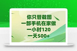 你只管截图,一部手机在家做,一小时120,-天500+
