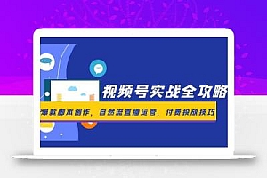 视频号实战全攻略,爆款脚本创作,自然流直播运营,付费投放技巧