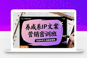 养成系IP文案营销密训班,实战中学习真高级营销